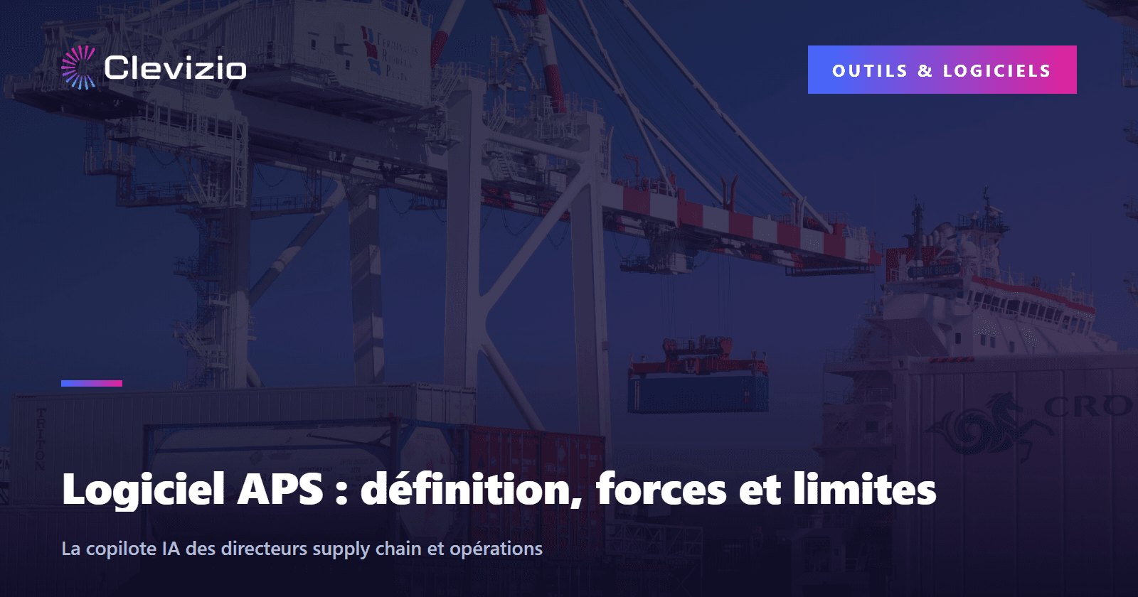 Logiciel APS : définition, forces et limites